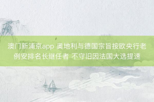 澳門新浦京app 奧地利與德國宗旨按歐央行老例安排名長繼任者 不守舊因法國大選提速
