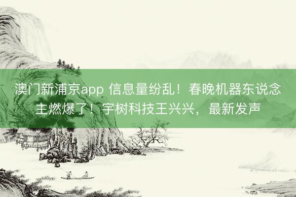 澳門新浦京app 信息量紛亂！春晚機器東說念主燃爆了！宇樹科技王興興，最新發聲