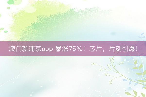 澳門新浦京app 暴漲75%！芯片，片刻引爆！