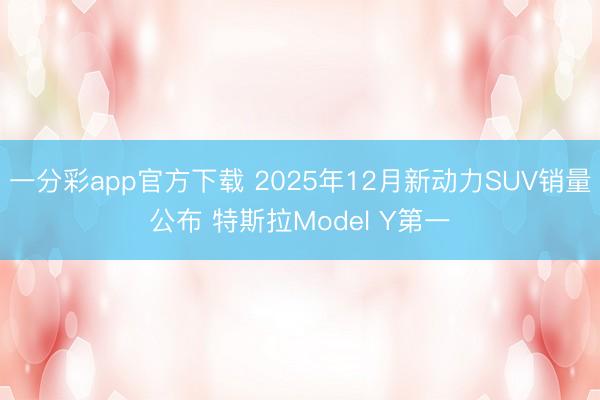 一分彩app官方下載 2025年12月新動(dòng)力SUV銷量公布 特斯拉Model Y第一