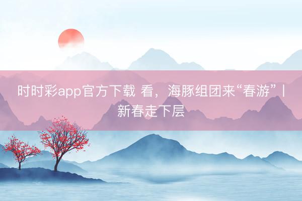 時(shí)時(shí)彩app官方下載 看,海豚組團(tuán)來(lái)“春游”丨新春走下層